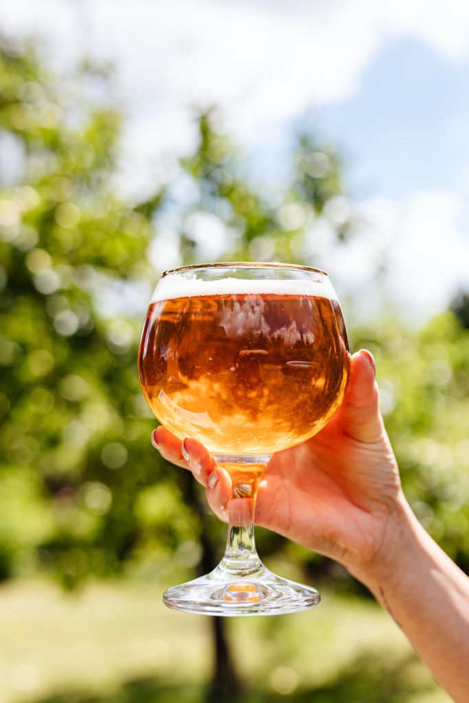 Vertus de la bière