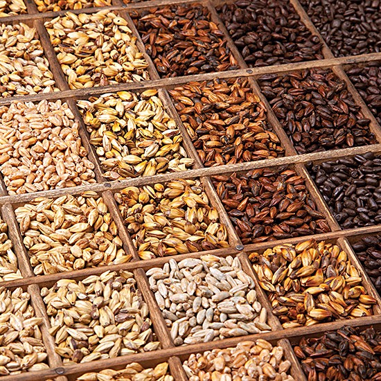 Malts de bière
